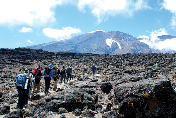 Kilimanjaro Shira and Lemosho
